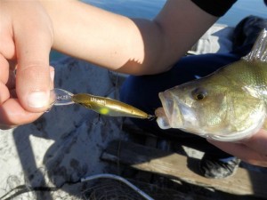 Бахчисарайское водохранилище